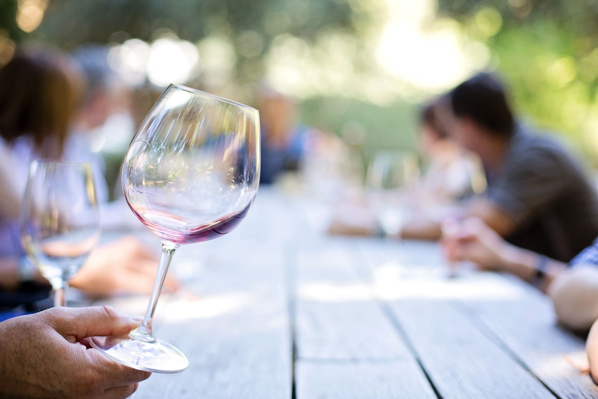 Wine & Gastronomy